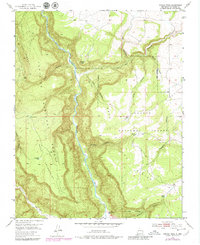 Navajo Peak 1953 topographic map thumbnail