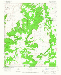 Neafus Ranch 1964 topographic map thumbnail