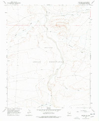 Newcomb SE 1966 topographic map thumbnail