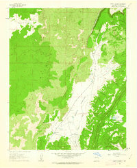 North Pasture 1961 topographic map thumbnail