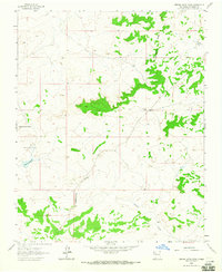Orphan Annie Rock 1963 topographic map thumbnail