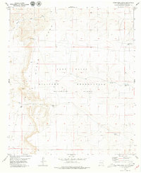 Otero Mesa South 1979 topographic map thumbnail