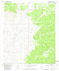 Paddys Hole 1981 topographic map thumbnail
