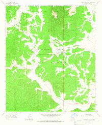 Pajarita Mountain 1963 topographic map thumbnail