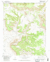 Palmer Mesa 1983 topographic map thumbnail