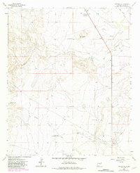 Panther Hill 1962 topographic map thumbnail