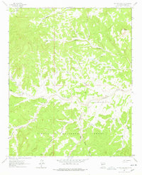 Pasture Canyon 1964 topographic map thumbnail