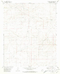 Pedernal Arroyo 1981 topographic map thumbnail