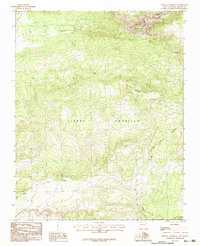 Penasco Amarillo 1983 topographic map thumbnail