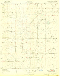 Peters Lake 1949 topographic map thumbnail
