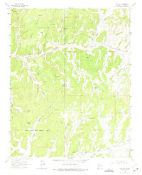 Pine Lake 1963 topographic map thumbnail