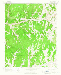 Pine Lake 1963 topographic map thumbnail