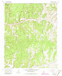 Pine Lake 1963 topographic map thumbnail