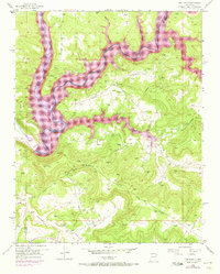 Pine River 1954 topographic map thumbnail
