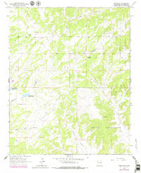 Pinehaven 1963 topographic map preview