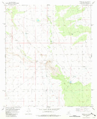 Prisor Hill 1981 topographic map thumbnail