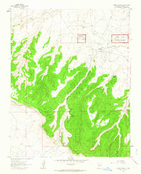 Pueblo Pintado 1961 topographic map thumbnail