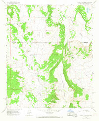 Pueblo Viejo Mesa 1964 topographic map thumbnail