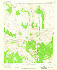Puertecito 1964 topographic map thumbnail