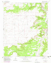 Puerto Creek 1963 topographic map thumbnail