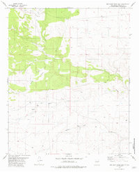 Red Bluff Draw East 1981 topographic map preview
