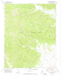 Red River Peak 1971 topographic map thumbnail