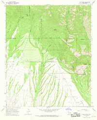 Rice Ranch 1965 topographic map thumbnail
