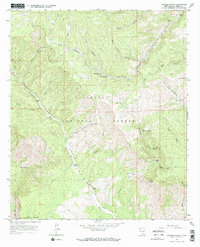 Rogers Ruins topographic map thumbnail
