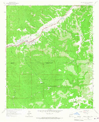 Ruidoso Downs 1963 topographic map thumbnail
