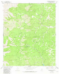 Sacramento Peak 1981 topographic map thumbnail