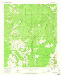 Saliz Pass 1963 topographic map thumbnail