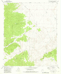 Salvation Peak 1981 topographic map thumbnail