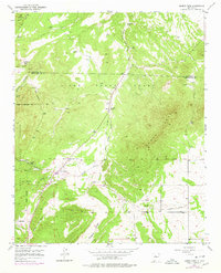 Sandia Park 1954 topographic map thumbnail