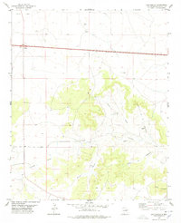 San Ignacio 1978 topographic map thumbnail