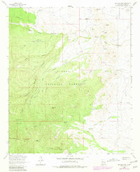 San Juan Peak 1964 topographic map thumbnail