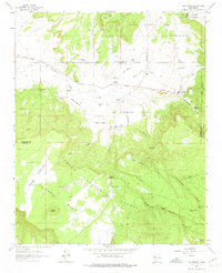 San Mateo 1963 topographic map thumbnail