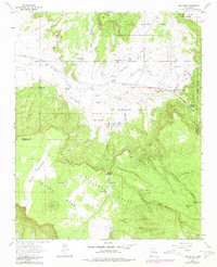 San Mateo 1963 topographic map thumbnail