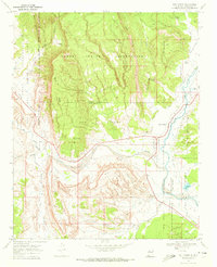 San Ysidro 1969 topographic map thumbnail