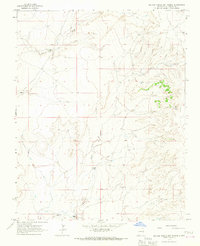 Sauble Circle Dot Ranch 1965 topographic map thumbnail