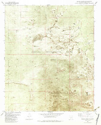 Selden Canyon NE 1982 topographic map thumbnail