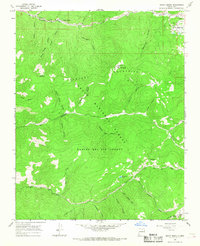 Shady Brook 1965 topographic map thumbnail