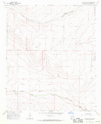 Shannon Draw 1967 topographic map thumbnail