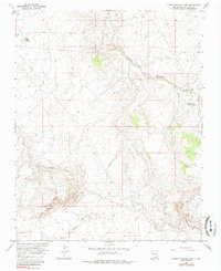 Carson Trading Post 1966 topographic map thumbnail