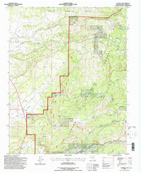 Cebolla 1995 topographic map thumbnail