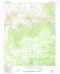 Cerro Parido 1961 topographic map thumbnail