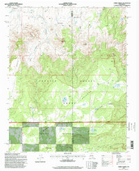 Cerro Parido 1995 topographic map thumbnail