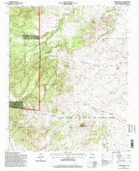 Cerro Tinaja 1995 topographic map thumbnail