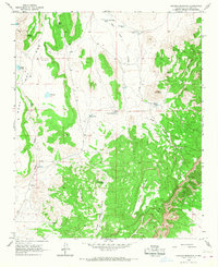 Chicken Mountain 1964 topographic map thumbnail