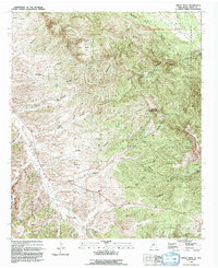 Circle Mesa 1992 topographic map thumbnail