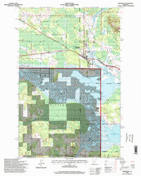 Deer River 1996 topographic map thumbnail